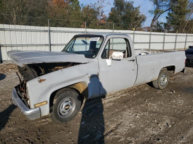 1981 CHEVROLET C10  1981 image