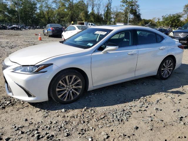 2021 LEXUS ES 250 BASE 2021 image