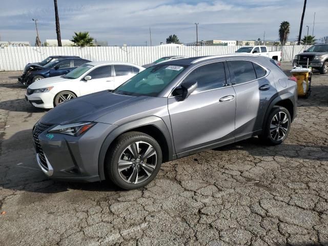 Obraz 2020 LEXUS UX 200 2020