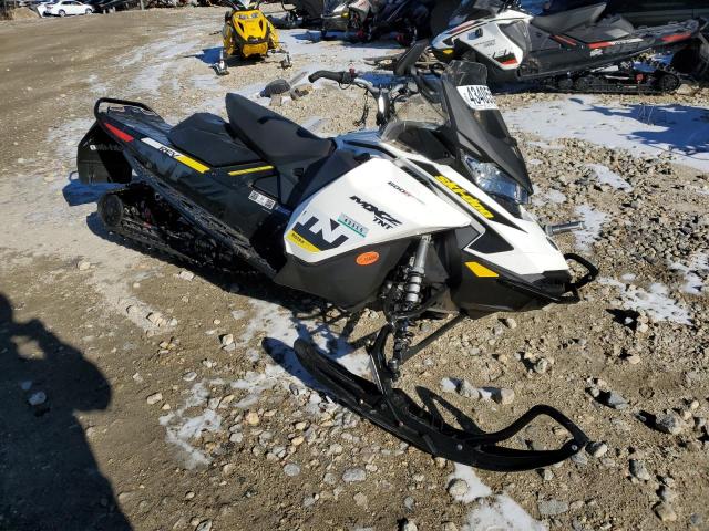 2019 SKI DOO MX Z 600 2019 image