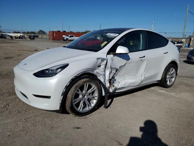 2023 TESLA MODEL Y  2023 image