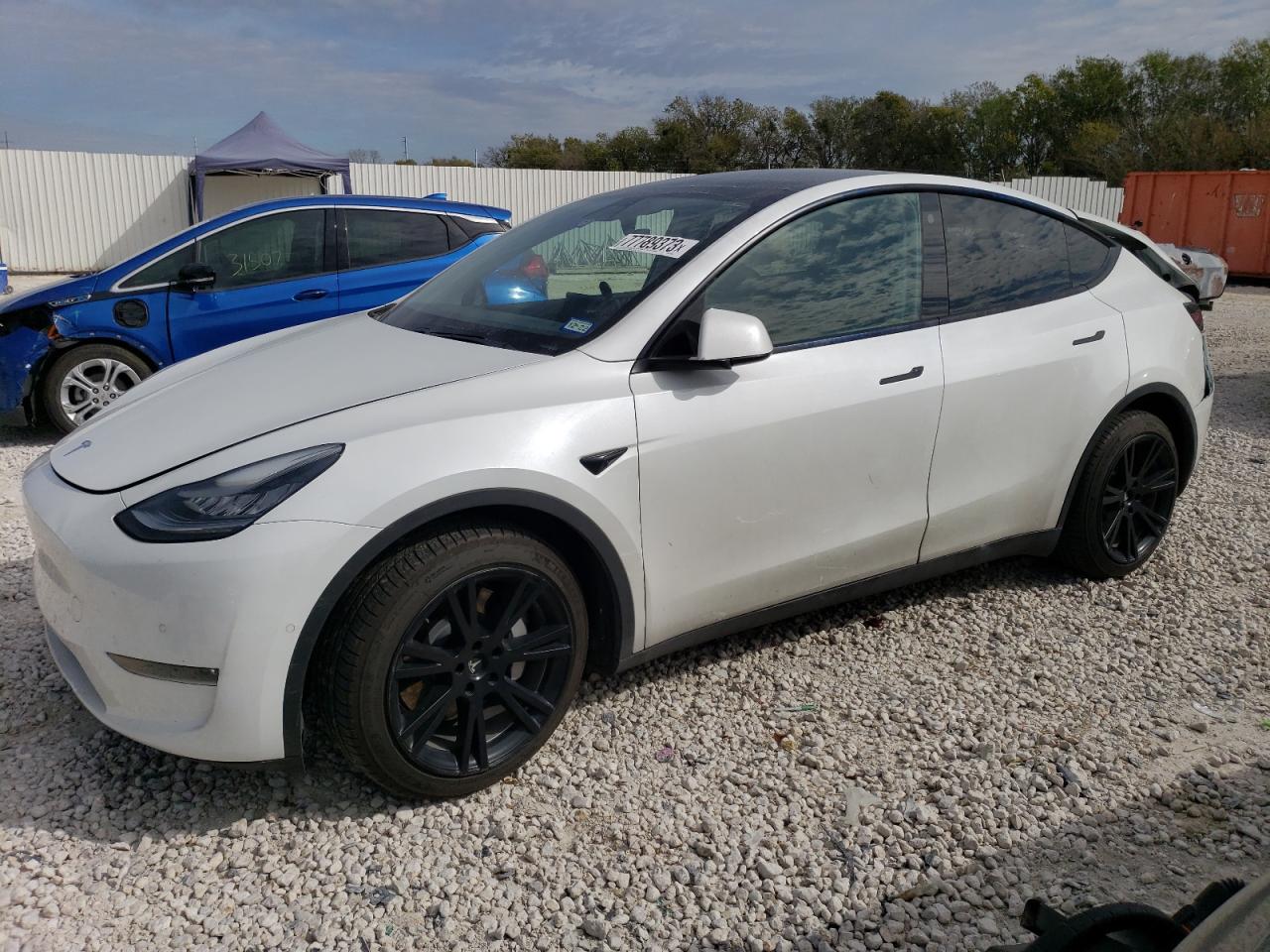 2021 TESLA MODEL Y  2021 image