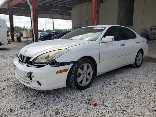 2005 LEXUS ES 330 2005 image