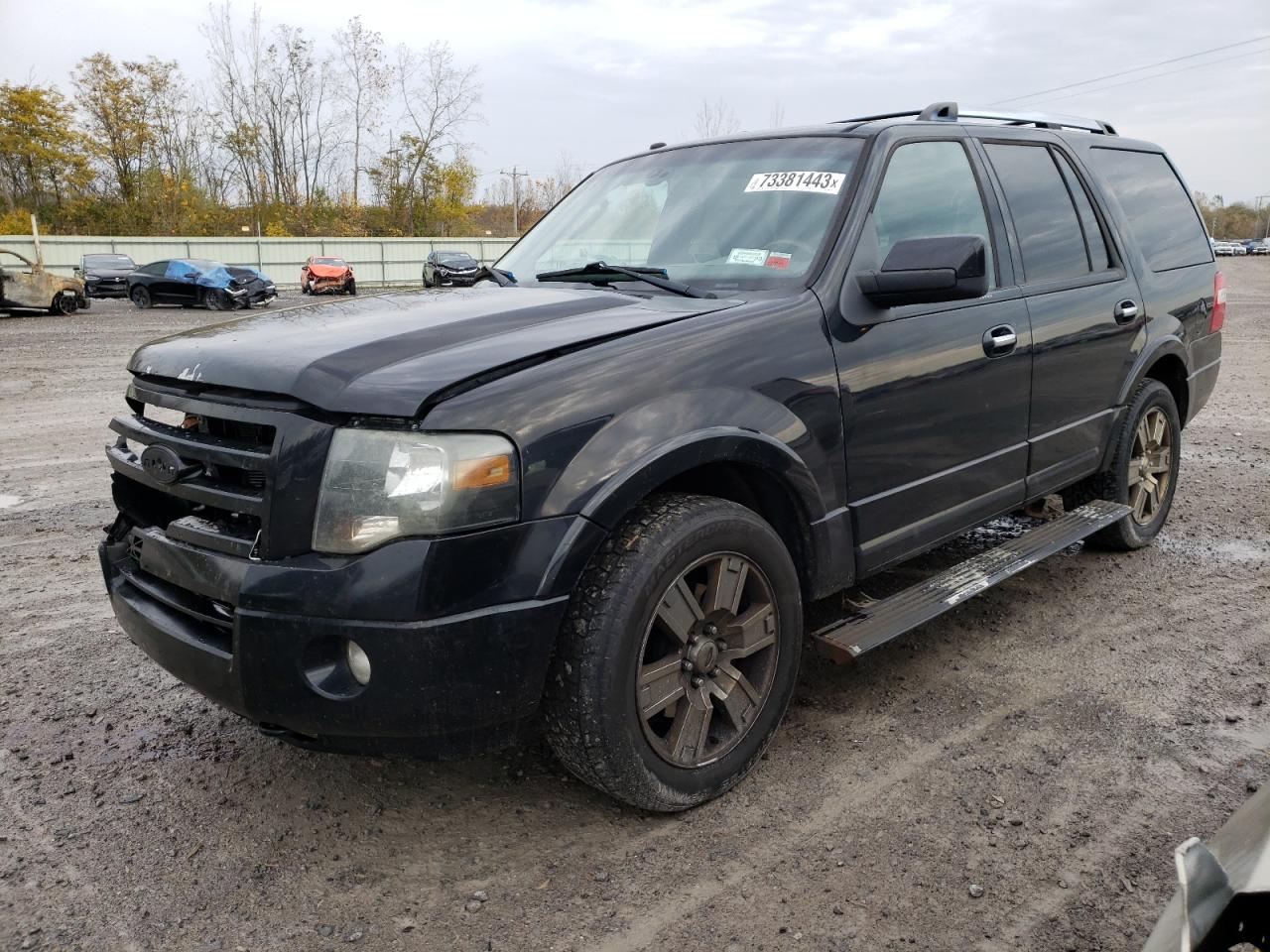 2010 FORD EXPEDITION LIMITED 2010 image