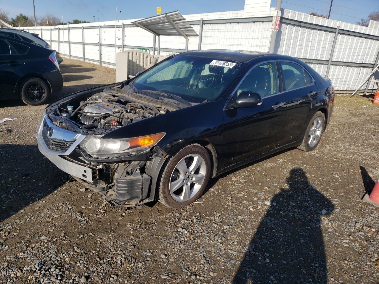 Obraz 2009 ACURA TSX 2009