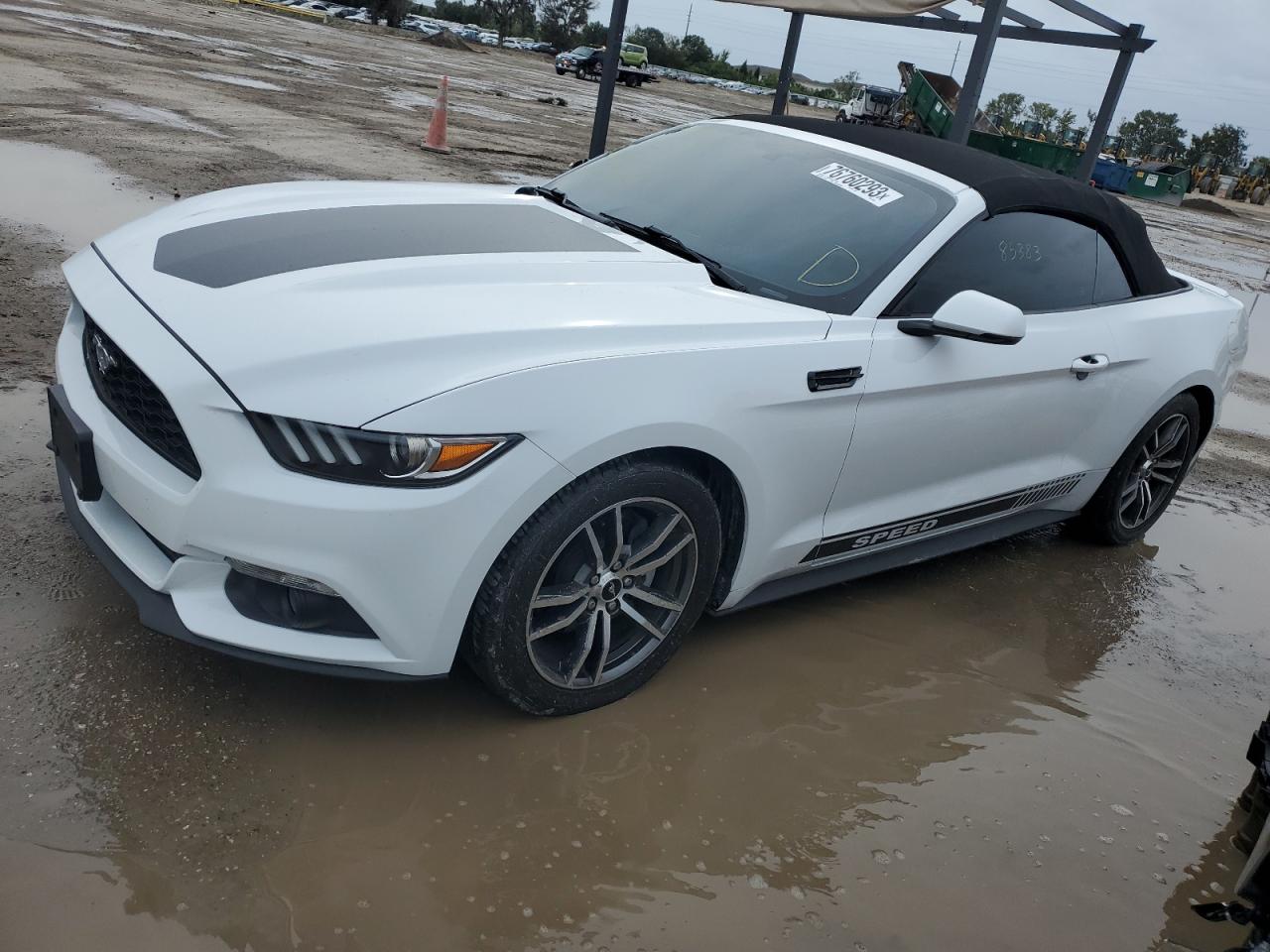 2017 FORD MUSTANG  2017 image
