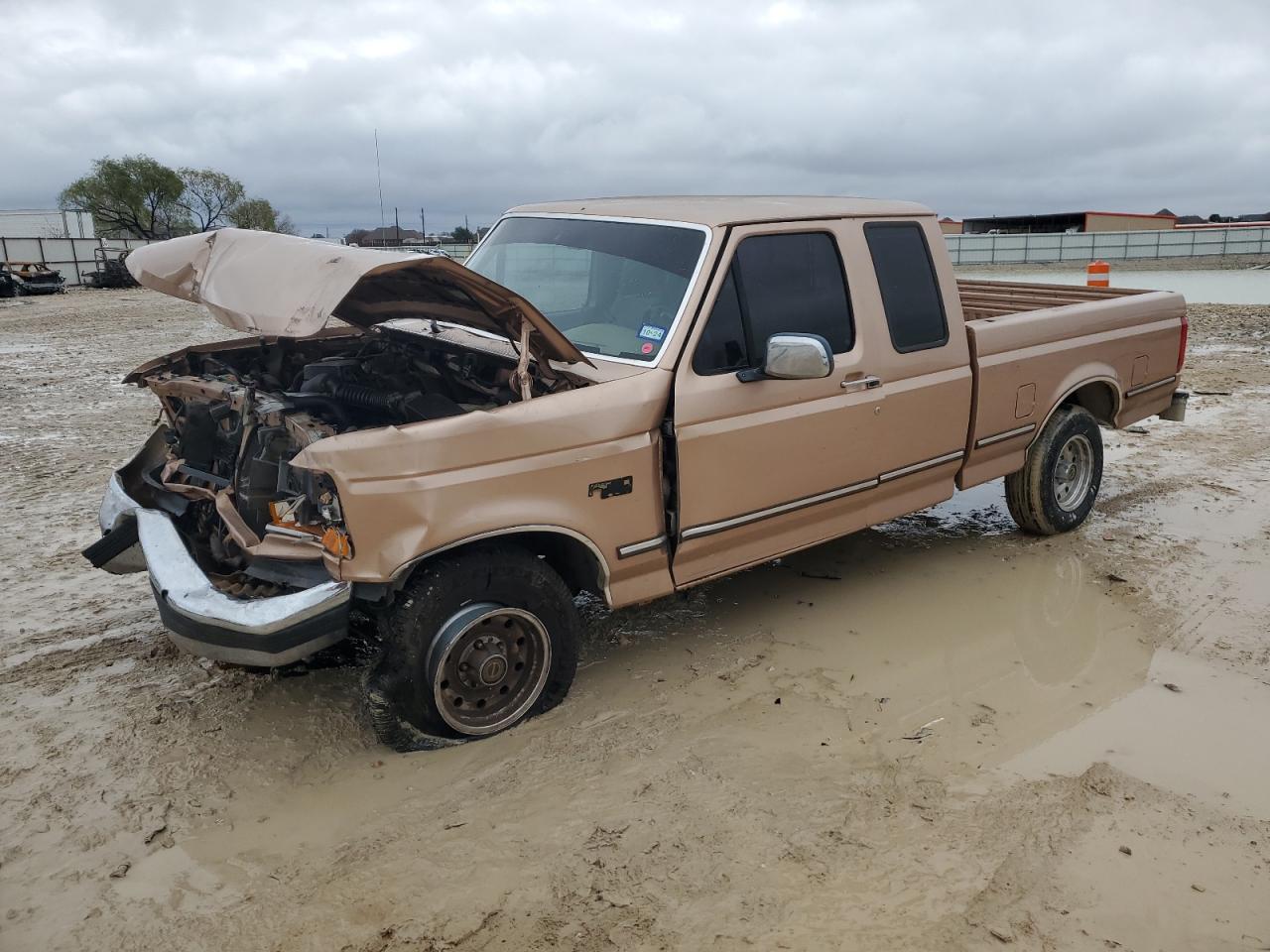 Изображение 1 1995 FORD F150  1995 с VIN 1FTEX15N1SKB42098