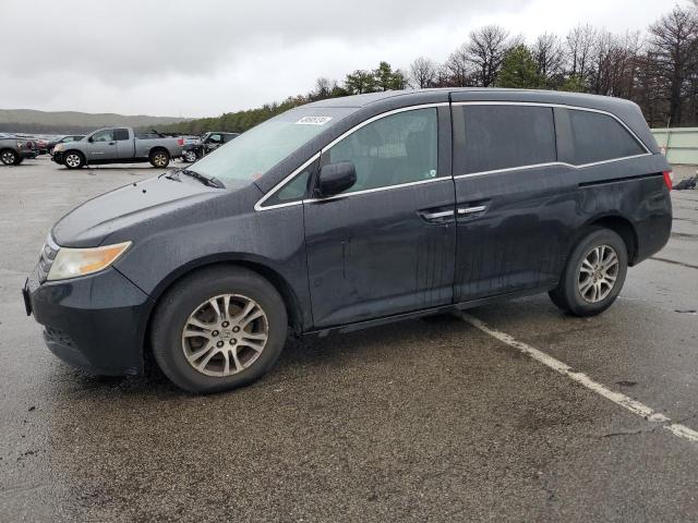 2011 HONDA ODYSSEY EXL 2011 image