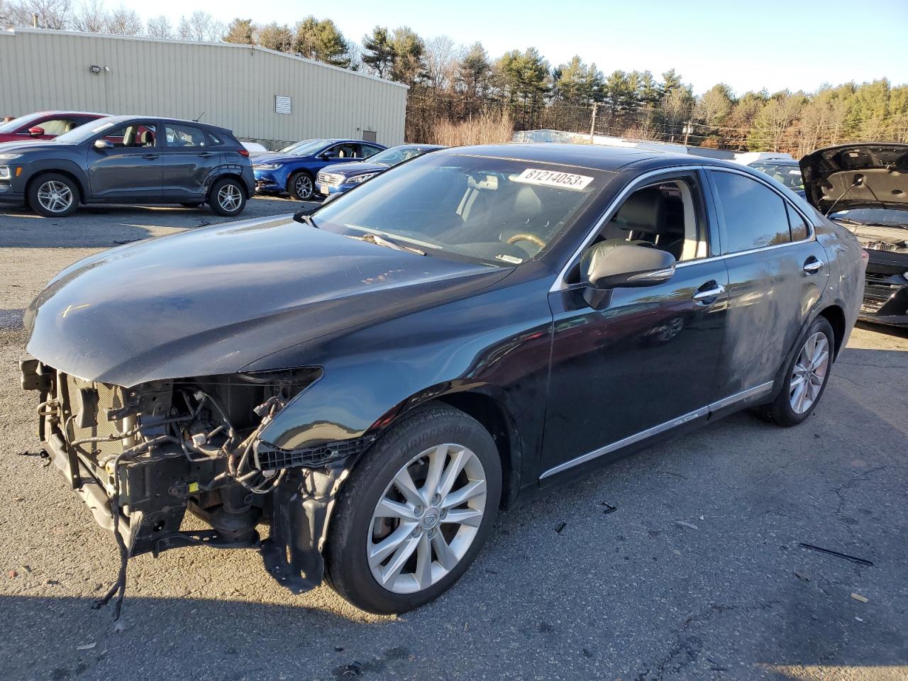 Obraz 2010 LEXUS ES 350 2010