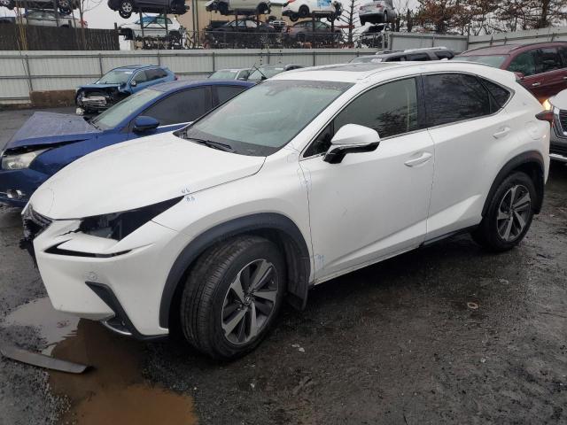 2019 LEXUS NX 300 BASE 2019 image