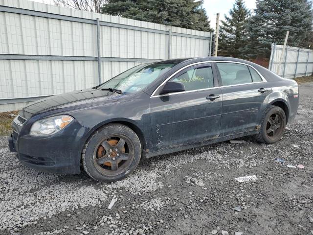 Image 1 of 2012 CHEVROLET MALIBU LS 2012 with VIN 1G1ZB5E08CF232654