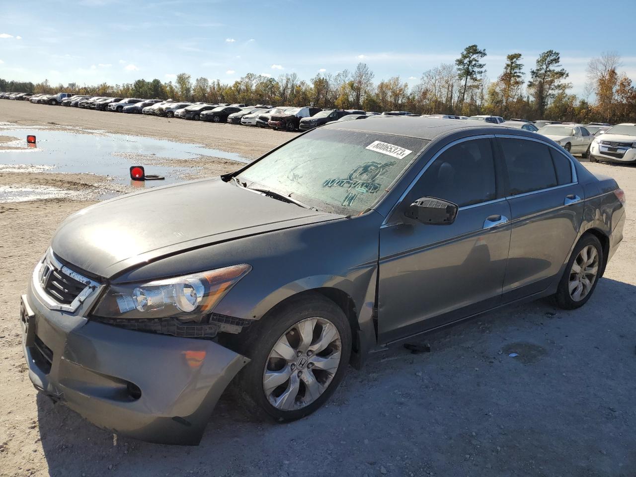 2008 HONDA ACCORD EXL 2008 image