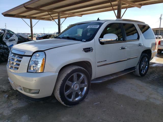 2010 CADILLAC ESCALADE LUXURY 2010 image