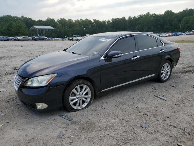 Obraz 2010 LEXUS ES 350 2010