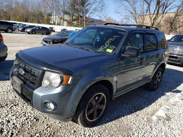 2011 FORD ESCAPE XLT 2011 image