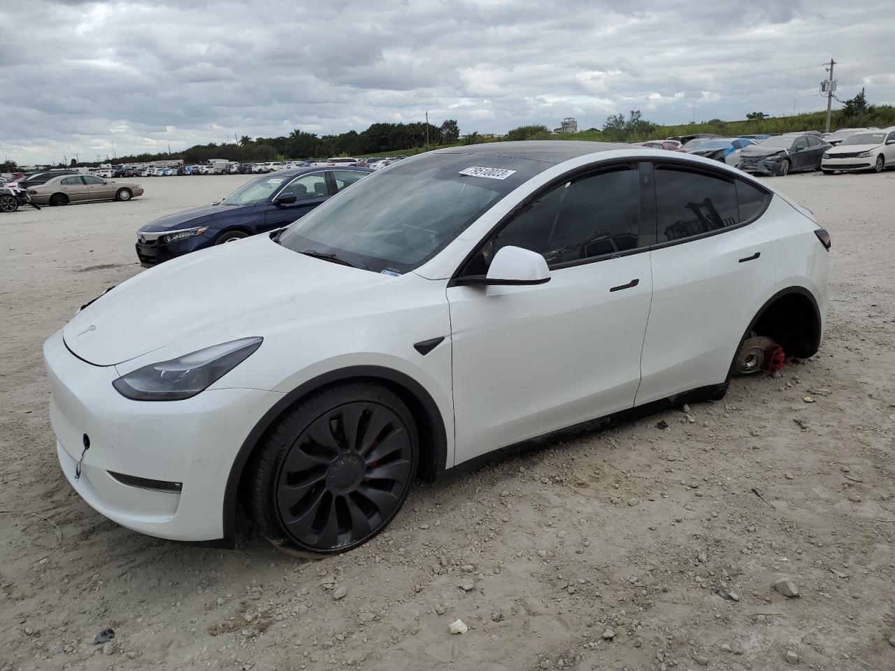 2023 TESLA MODEL Y  2023 image