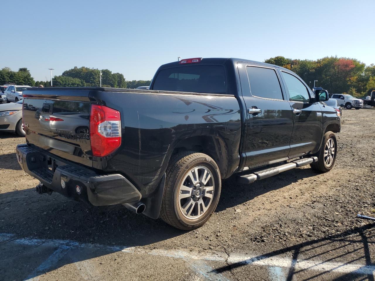 Изображение 3 2019 TOYOTA TUNDRA CREWMAX 1794 2019 с VIN 5TFAY5F18KX827569