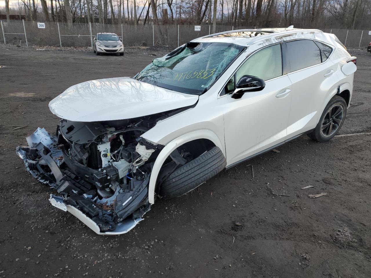 Изображение 2020 LEXUS NX 300 2020