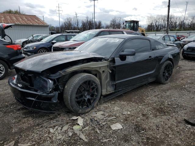 2005 FORD MUSTANG  2005 image