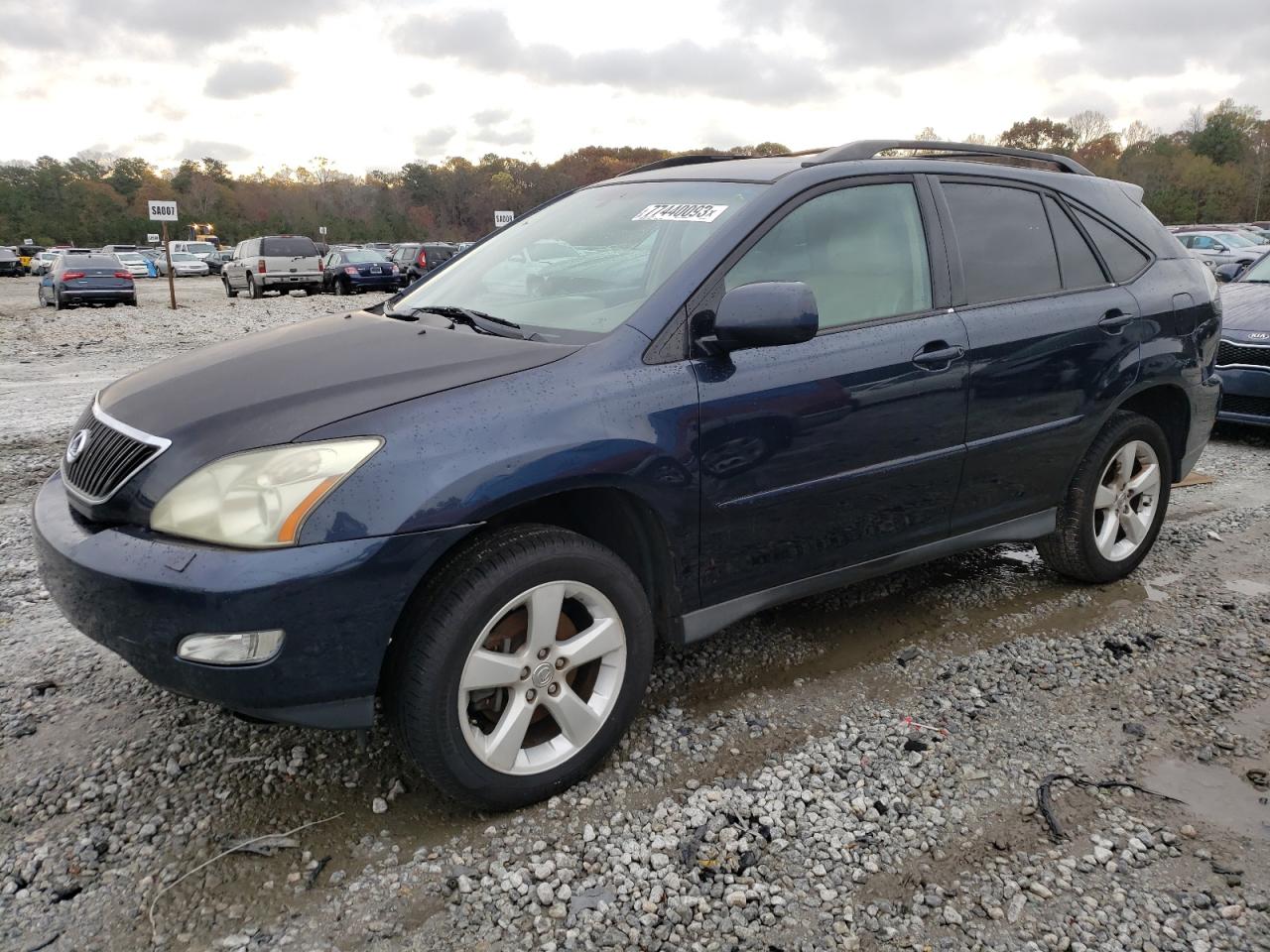 Obraz 2005 LEXUS RX 330 2005