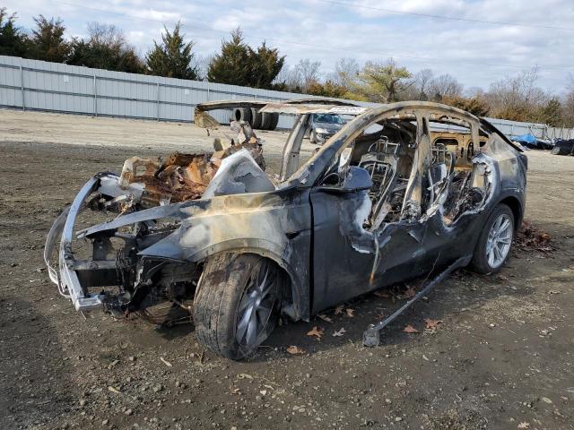 2023 TESLA MODEL Y  2023 image