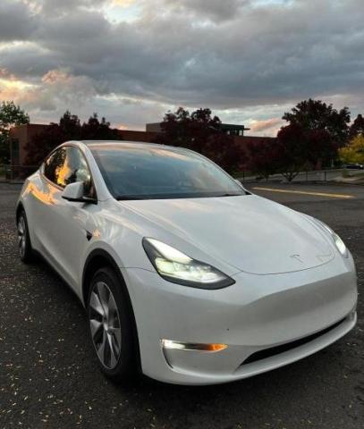 2022 TESLA MODEL Y  2022 image