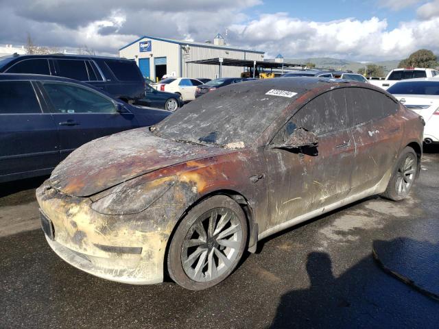 2023 TESLA MODEL 3  2023 image