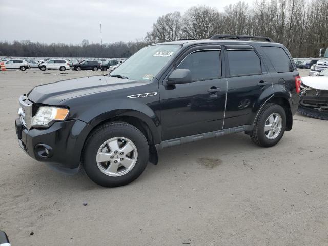 Image 1 of 2011 FORD ESCAPE XLT 2011 with VIN 1FMCU0DG7BKB82050