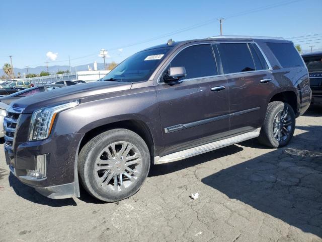 Obraz 2015 CADILLAC ESCALADE  2015