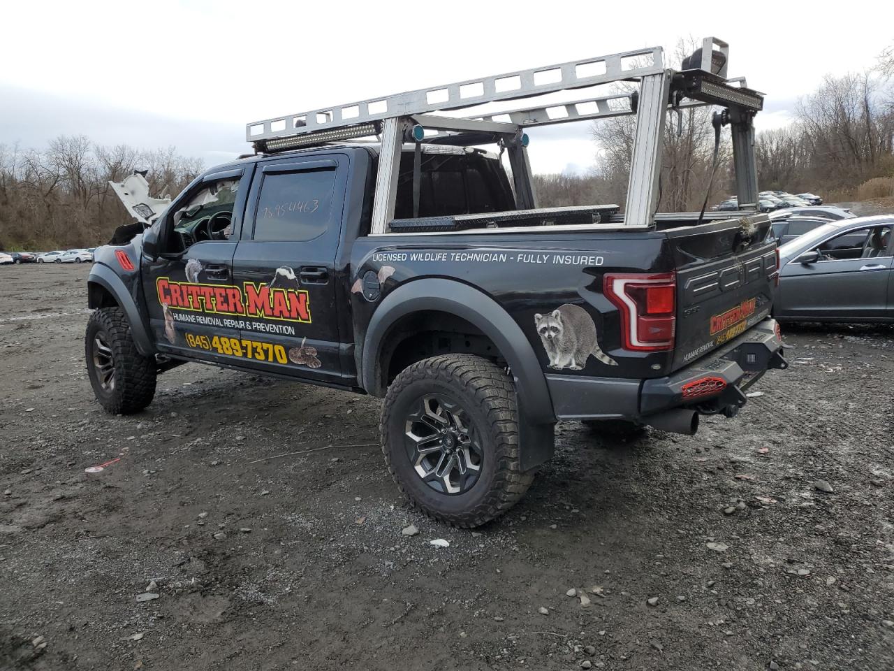 Изображение 2 2019 FORD F150 RAPTOR 2019 с VIN 1FTFW1RG1KFA22622