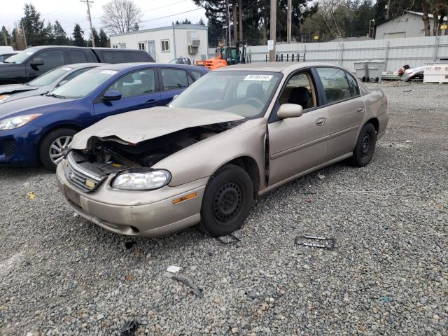 1999 Chevrolet Malibu 1999 image