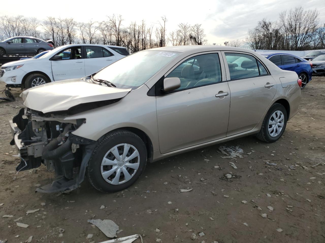 Изображение 1 2010 TOYOTA COROLLA BASE 2010 с VIN 2T1BU4EE5AC407988