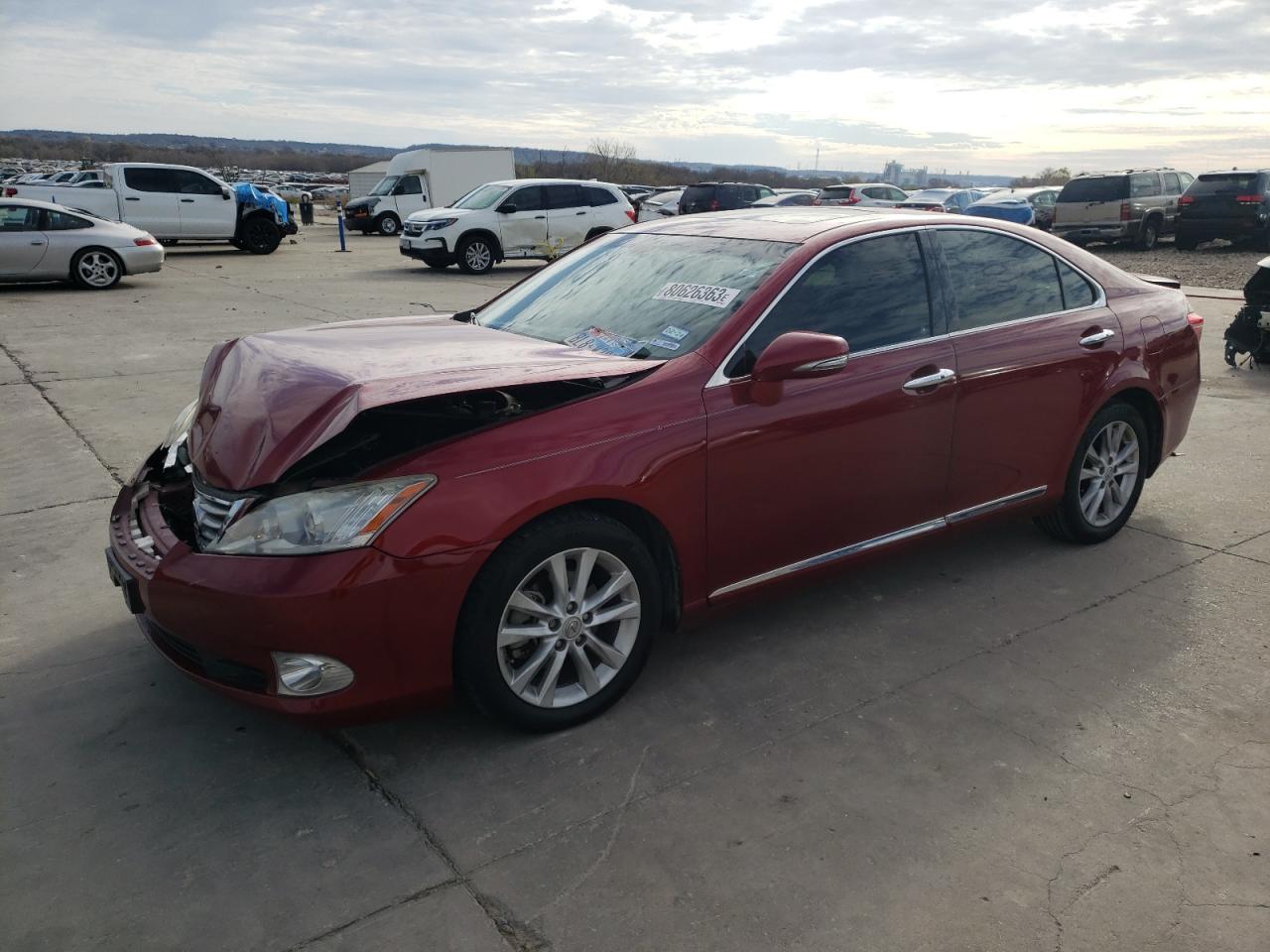 Obraz 2010 LEXUS ES 350 2010