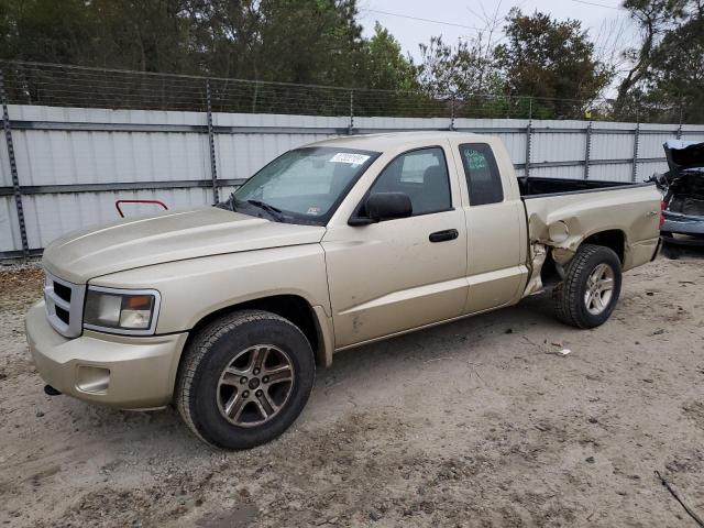 2011 DODGE DAKOTA SLT 2011 image