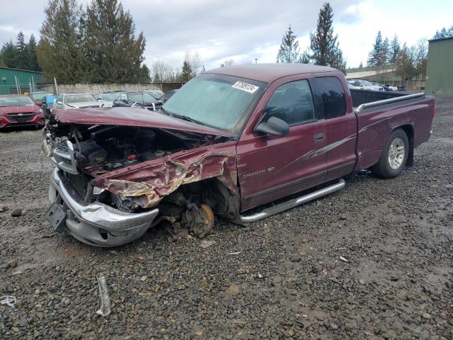 2001 Dodge Dakota 2001 image