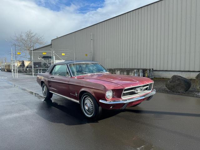 1967 FORD MUSTANG 1967 image