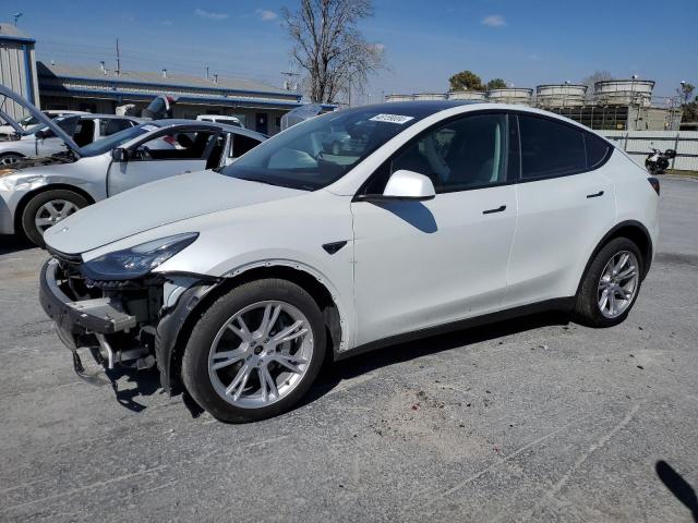 2023 TESLA MODEL Y  2023 image