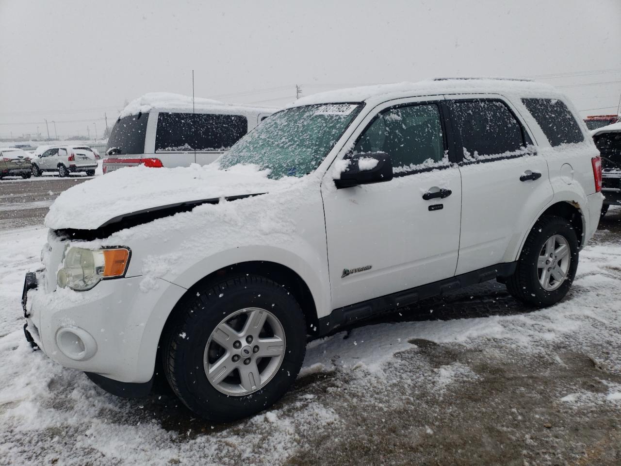 Obraz 2010 FORD ESCAPE HYBRID 2010