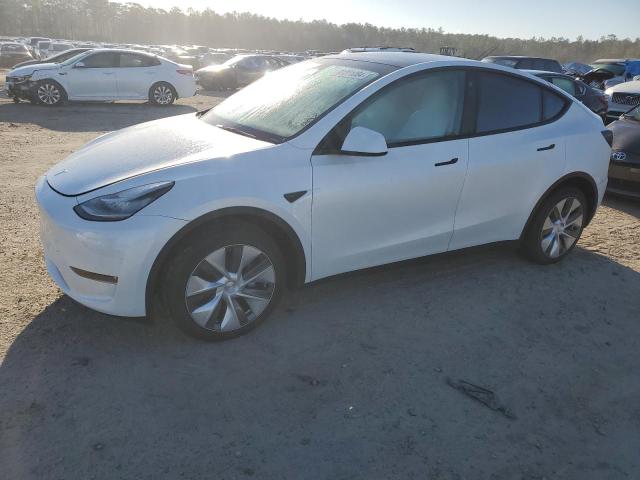 2023 TESLA MODEL Y  2023 image