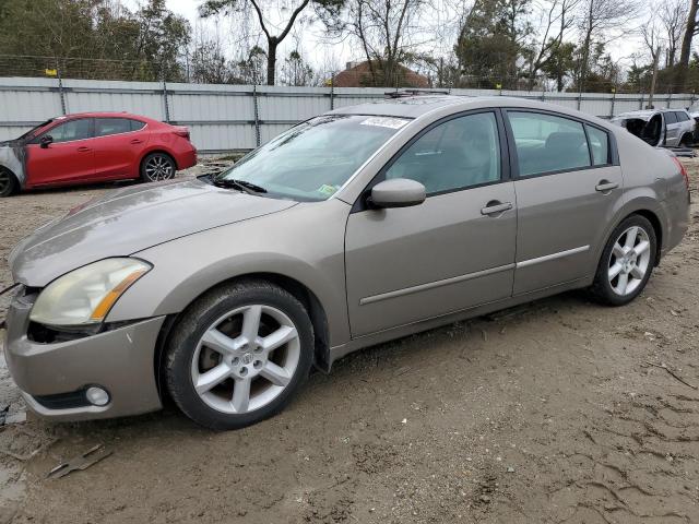 2005 NISSAN MAXIMA SE 2005 image