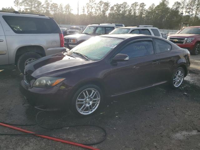 2008 TOYOTA SCION TC  2008 image