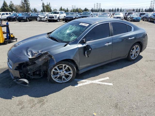 2013 NISSAN MAXIMA S 2013 image