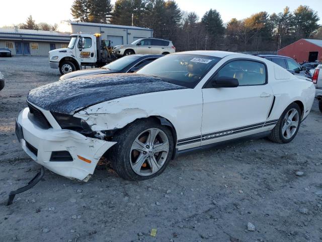 Изображение 2010 FORD MUSTANG  2010