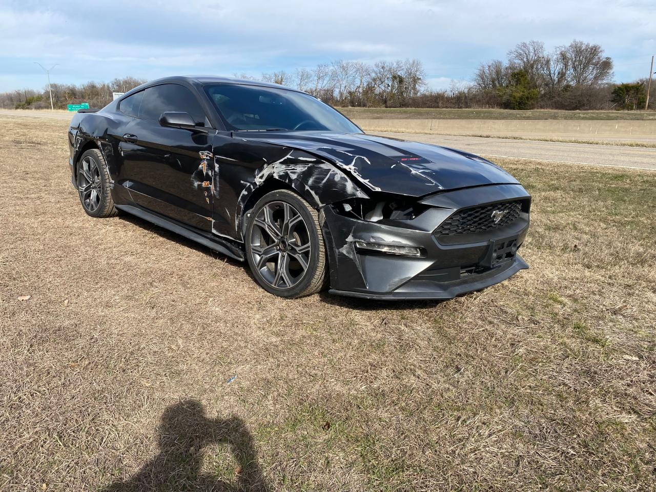 2019 FORD MUSTANG  2019 image