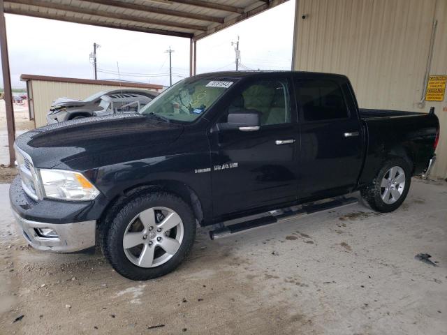 Dodge Ram 1500 image