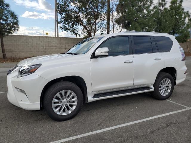 2023 LEXUS GX 460 2023 image