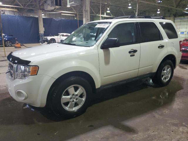 Image 1 of 2009 FORD ESCAPE XLT 2009 with VIN 1FMCU03G19KB11065