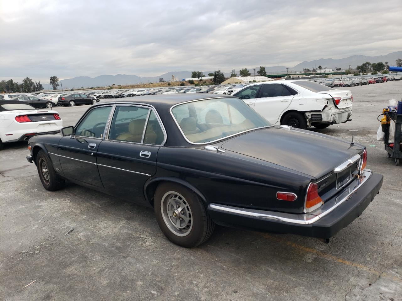 Image 2 of 1981 JAGUAR XJ6  1981 with VIN SAJAV1245BC321028
