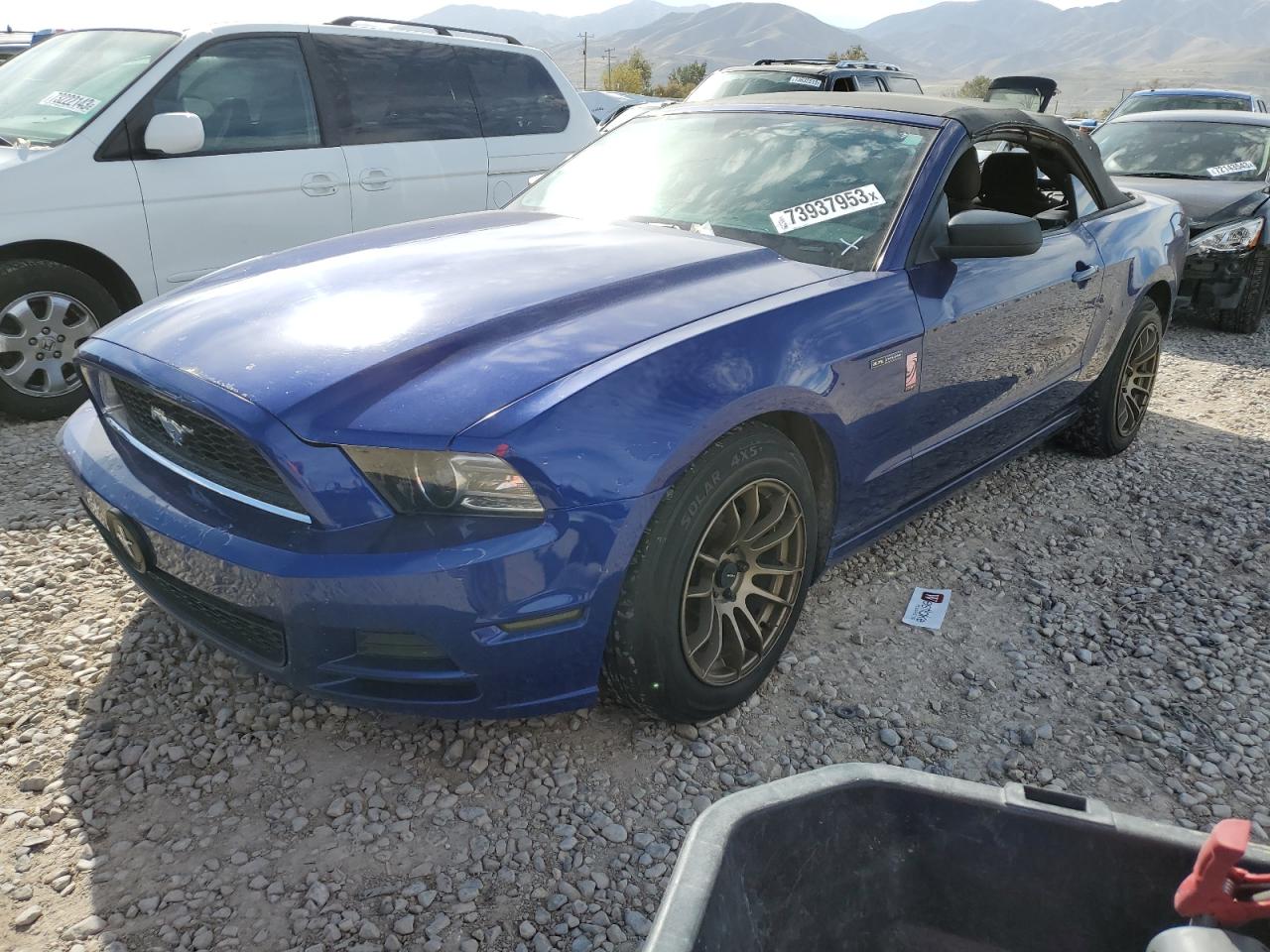 Image 1 of 2013 FORD MUSTANG  2013 with VIN 1ZVBP8EMXD5272303