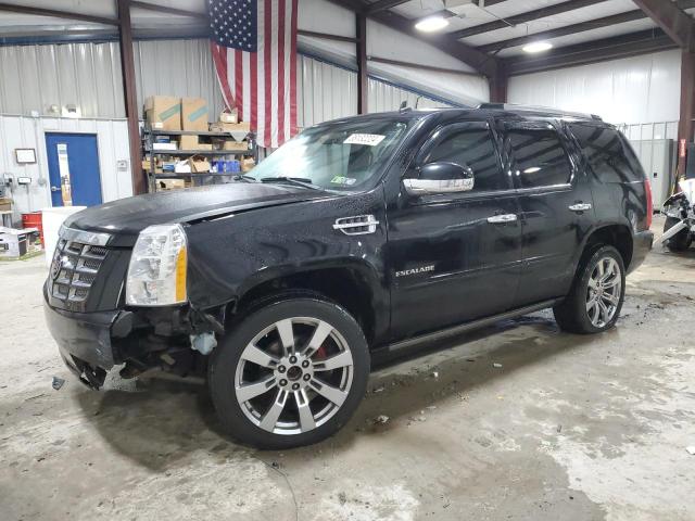 2010 CADILLAC ESCALADE PREMIUM 2010 image